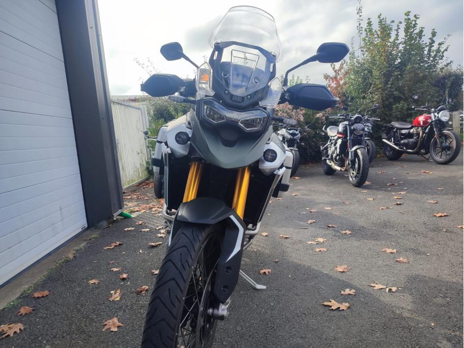 TRIUMPH TIGER 900 RALLY PRO