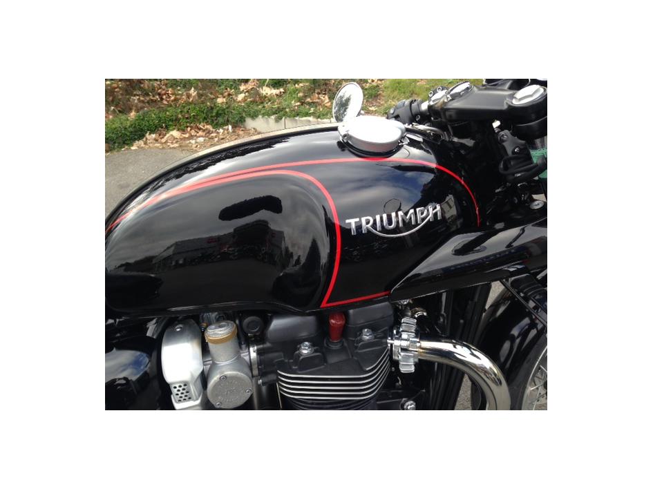 1200 THRUXTON FILET ROUGE